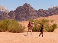 Wadi Rum (75)